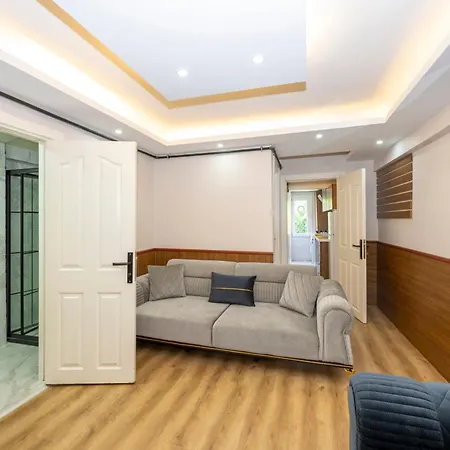 Hatem's House In Taksim *