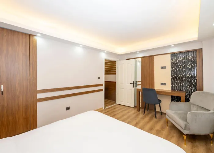 Hatem's House In Taksim *