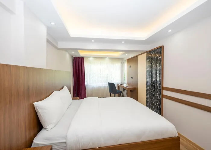 Hatem's House In Taksim Istambul