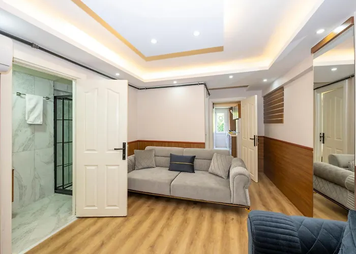 Hatem's House In Taksim *