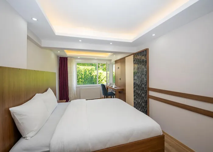 Hatem's House In Taksim Istambul