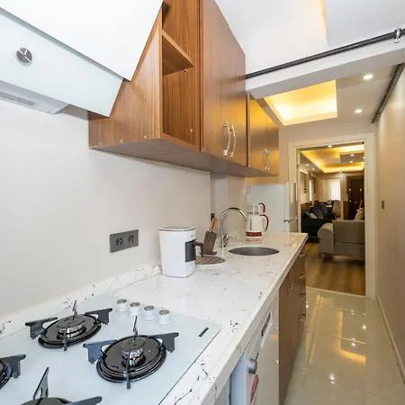 Hatem's House In Taksim Apartment