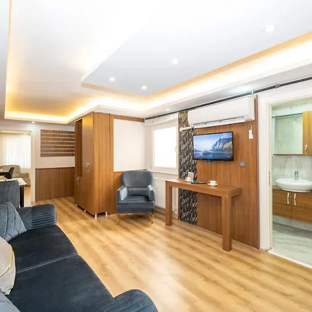 Hatem's House In Taksim イスタンブール